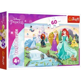 Puzzle - 60 - Poznaj Księżniczki - Disney Princess Trefl 17361 Trefl Puzzle