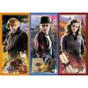 Puzzle Harry Potter 200 el. W świecie magii i czarów Trefl 13277 Trefl Puzzle