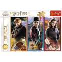 Puzzle Harry Potter 200 el. W świecie magii i czarów Trefl 13277 Trefl Puzzle