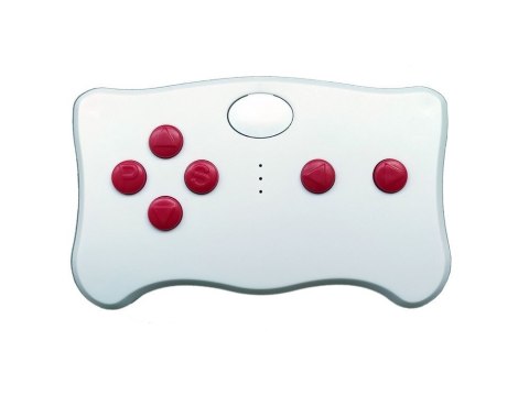 Pilot TX10 do pojazdu na akumulator 2.4G z modułem FCC LEAN CARS Pilot TX10 do pojazdu na akumulator 2.4G z modułem FCC LEAN CARS