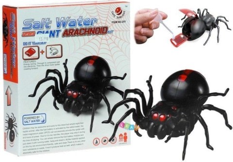 Zestaw Kreatywny Pająk Zasilany Słoną Wodą DIY Czarny LEAN Toys Zestaw Kreatywny Pająk Zasilany Słoną Wodą DIY Czarny LEAN Toys