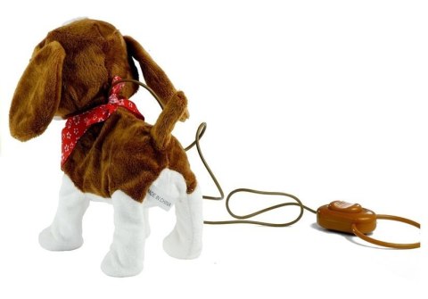 Interaktywny Piesek na Smyczy Rusza Ogonem Śpiewa LEAN Toys Interaktywny Piesek na Smyczy Rusza Ogonem Śpiewa LEAN Toys