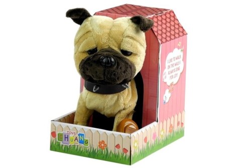 Interaktywny Piesek Na Smyczy + Buda Beżowy LEAN Toys Interaktywny Piesek Na Smyczy + Buda Beżowy LEAN Toys