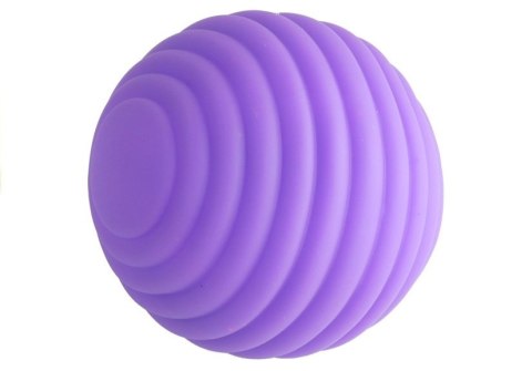 Piłeczki Sensoryczne Zestaw Dla Maluszka 6 Sztuk LEAN Toys Piłeczki Sensoryczne Zestaw Dla Maluszka 6 Sztuk LEAN Toys