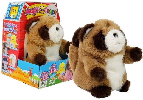 Interaktywny Gadający Szop Pracz Powtarzający Słowa Pluszowy LEAN Toys Interaktywny Gadający Szop Pracz Powtarzający Słowa Pluszowy LEAN Toys