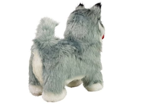 Interaktywny Pies Husky Porusza się, Szczeka LEAN Toys Interaktywny Pies Husky Porusza się, Szczeka LEAN Toys