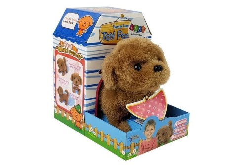 Interaktywny Piesek na Baterie Brązowy Chodzi Porusza Ogonem Dźwięk LEAN Toys Interaktywny Piesek na Baterie Brązowy Chodzi Porusza Ogonem Dźwięk LEAN Toys