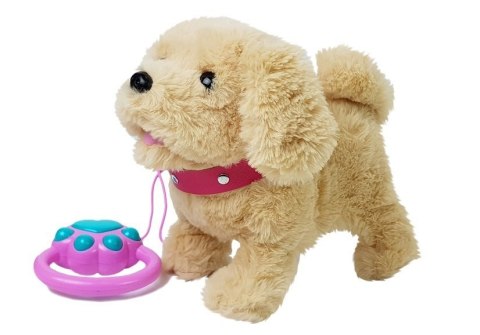Pluszowy Piesek na Smyczy na Baterie Kremowy Akcesoria LEAN Toys Pluszowy Piesek na Smyczy na Baterie Kremowy Akcesoria LEAN Toys