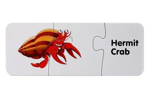 Puzzle Edukacyjne Układanka Świat Oceanów 10 Połączeń LEAN TOYS Puzzle Edukacyjne Układanka Świat Oceanów 10 Połączeń LEAN TOYS