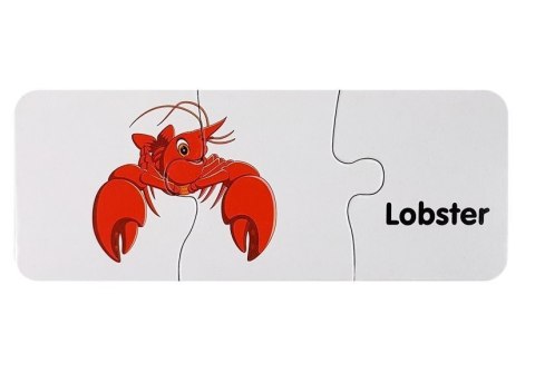 Puzzle Edukacyjne Układanka Świat Oceanów 10 Połączeń LEAN TOYS Puzzle Edukacyjne Układanka Świat Oceanów 10 Połączeń LEAN TOYS