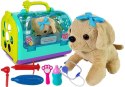 Zestaw Weterynarz z Pieskiem i Transporterem LEAN Toys