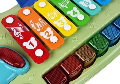 Pianinko Cymbałki Dla Niemowląt Podświetlane Klawisze Muzyka LEAN Toys Pianinko Cymbałki Dla Niemowląt Podświetlane Klawisze Muzyka LEAN Toys