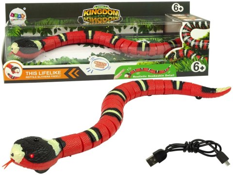 Zdalnie Sterowany Wąż Na Dotyk Czerwony Czarne Paski LEAN Toys Zdalnie Sterowany Wąż Na Dotyk Czerwony Czarne Paski LEAN Toys
