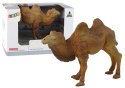 Zestaw Figurka Kolekcjonerska Wielbłąd Zwierzęta LEAN Toys