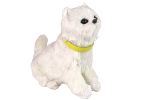 Interaktywny Kot Kotek Pluszowy Miauczy Rusza Głową i Ogonem LEAN Toys Interaktywny Kot Kotek Pluszowy Miauczy Rusza Głową i Ogonem LEAN Toys