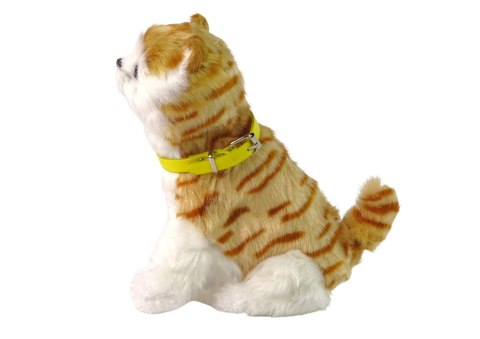 Interaktywny Kot Kotek Pluszowy Miauczy Rusza Głową i Ogonem LEAN Toys Interaktywny Kot Kotek Pluszowy Miauczy Rusza Głową i Ogonem LEAN Toys