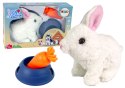 Maskotka Interaktywna Króliczek Królik Biały Miska Marchewka LEAN Toys