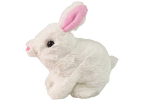 Maskotka Interaktywna Króliczek Królik Biały Miska Marchewka LEAN Toys Maskotka Interaktywna Króliczek Królik Biały Miska Marchewka LEAN Toys