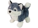 Interaktywna Maskotka Pies Husky Chodzi Porusza Ogonem Dźwięk LEAN Toys