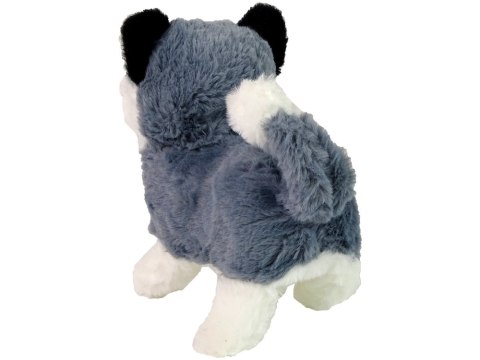 Interaktywna Maskotka Pies Husky Chodzi Porusza Ogonem Dźwięk LEAN Toys Interaktywna Maskotka Pies Husky Chodzi Porusza Ogonem Dźwięk LEAN Toys