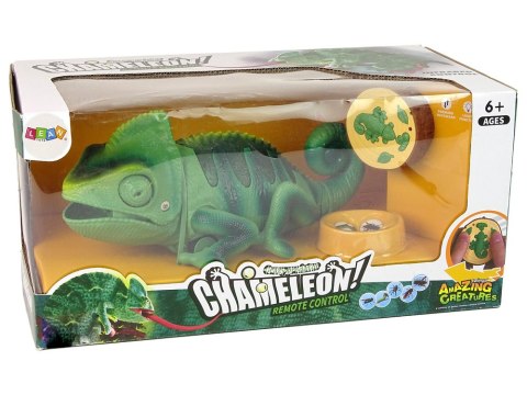 Kameleon Zdalnie Sterowany Zielony Światła 28 cm LEAN Toys Kameleon Zdalnie Sterowany Zielony Światła 28 cm LEAN Toys