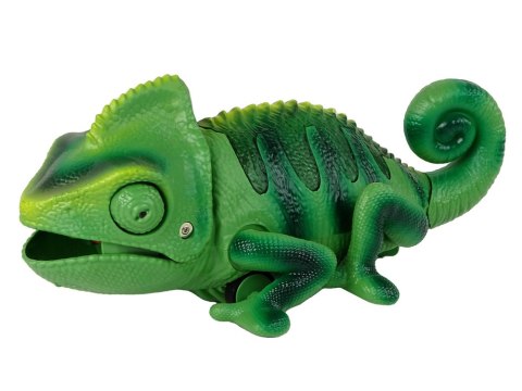 Kameleon Zdalnie Sterowany Zielony Światła 28 cm LEAN Toys Kameleon Zdalnie Sterowany Zielony Światła 28 cm LEAN Toys