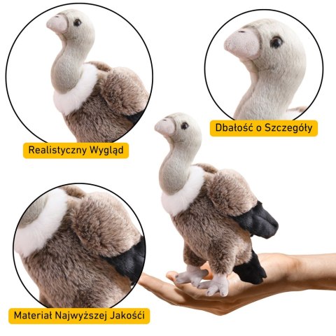 Pluszowy Sęp Ptak Pluszak Maskotka Przytulanka 25cm LEAN Toys Pluszowy Sęp Ptak Pluszak Maskotka Przytulanka 25cm LEAN Toys