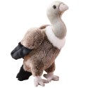 Pluszowy Sęp Ptak Pluszak Maskotka Przytulanka 25cm LEAN Toys