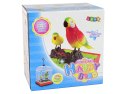 Śpiewająca Kolorowa Papuga Z Klatką LEAN Toys