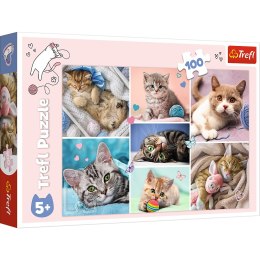 Puzzle - 100 - W kocim świecie - Trefl 16420 Trefl Puzzle