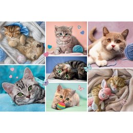 Puzzle - 100 - W kocim świecie - Trefl 16420 Trefl Puzzle