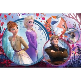 Puzzle - 160 - Siostrzana przygoda - Disney Frozen Trefl 15374 Trefl Puzzle