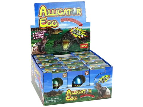Rosnące Jajo Aligatora Krokodyla 6cm LEAN TOYS Rosnące Jajo Aligatora Krokodyla 6cm LEAN TOYS