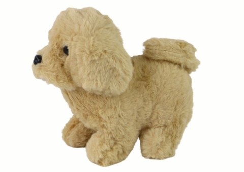 Chodzący Piesek Zabawka Interaktywna Szczekający Beżowy LEAN Toys Chodzący Piesek Zabawka Interaktywna Szczekający Beżowy LEAN Toys