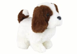 Chodzący Piesek Zabawka Interaktywna Szczekający Szczeniak Biało-Brązowy LEAN Toys
