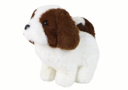 Chodzący Piesek Zabawka Interaktywna Szczekający Szczeniak Biało-Brązowy LEAN Toys