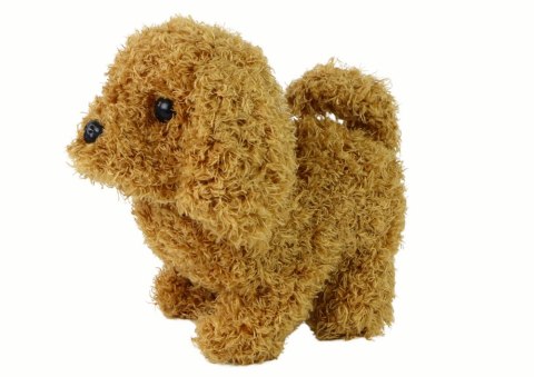 Chodzący Piesek Zabawka Interaktywna Szczekający Szczeniak Brązowy LEAN Toys Chodzący Piesek Zabawka Interaktywna Szczekający Szczeniak Brązowy LEAN Toys