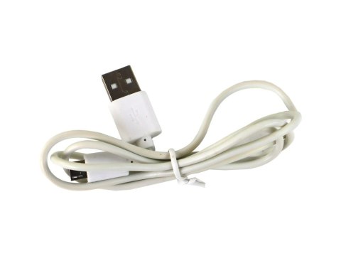 Lampka Jajko Dinozaur Pterozaur LED Micro USB LEAN Toys Lampka Jajko Dinozaur Pterozaur LED Micro USB LEAN Toys