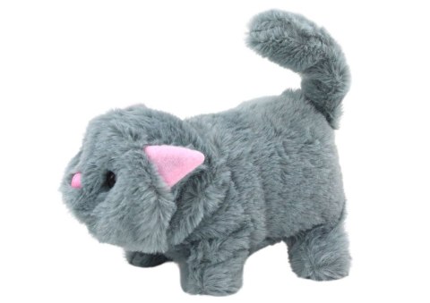 Kotek Pluszowy Interaktywny Zwierzątko Chodzi Miauczy Szary LEAN Toys Kotek Pluszowy Interaktywny Zwierzątko Chodzi Miauczy Szary LEAN Toys