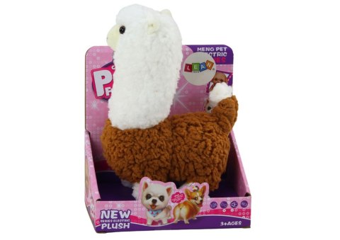 Lama Interaktywne Zwierzątko Alpaka Brązowa Chodzi Gra 23 cm LEAN Toys Lama Interaktywne Zwierzątko Alpaka Brązowa Chodzi Gra 23 cm LEAN Toys