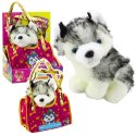 Piesek Husky W Torebce Pluszowy Maskotka Przytulanka Biało Szary LEAN Toys