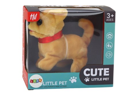Piesek Pluszowy Interaktywny Zwierzątko Chodzi Szczeka Beżowy LEAN Toys Piesek Pluszowy Interaktywny Zwierzątko Chodzi Szczeka Beżowy LEAN Toys