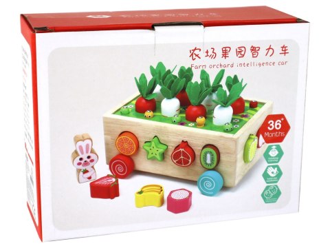 Drewniany Sorter Pole Marchewek Owoce Dla Dzieci LEAN Toys Drewniany Sorter Pole Marchewek Owoce Dla Dzieci LEAN Toys