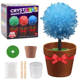 Hodowla Kryształów Magiczne Drzewko Kryształowe Eksperyment Edukacyjny LEAN TOYS