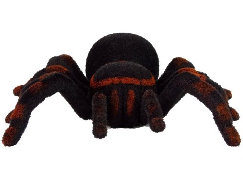 Zdalnie Sterowany Pająk Tarantula Czarny R/C LEAN Toys Zdalnie Sterowany Pająk Tarantula Czarny R/C LEAN Toys