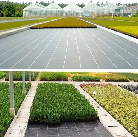 Agrotkanina czarna 1,1x100m UV 135g antychwastowa agrowłóknina + kotwy LEAN Trike Agrotkanina czarna 1,1x100m UV 135g antychwastowa agrowłóknina + kotwy LEAN Trike