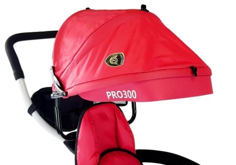 Rower Trójkołowy PRO300 Czerwony LEAN Toys Rower Trójkołowy PRO300 Czerwony LEAN Toys