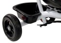 Rower Trójkołowy PRO300 Czerwony LEAN Toys