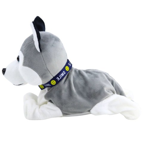 Pies Pluszowy Na Baterie Interaktywny Husky Porusza Się Wydaje Dźwięki Pies Pluszowy Na Baterie Interaktywny Husky Porusza Się Wydaje Dźwięki