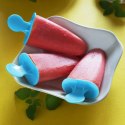 Foremka forma do lodów na patyku lody 6 sztuk stojak
